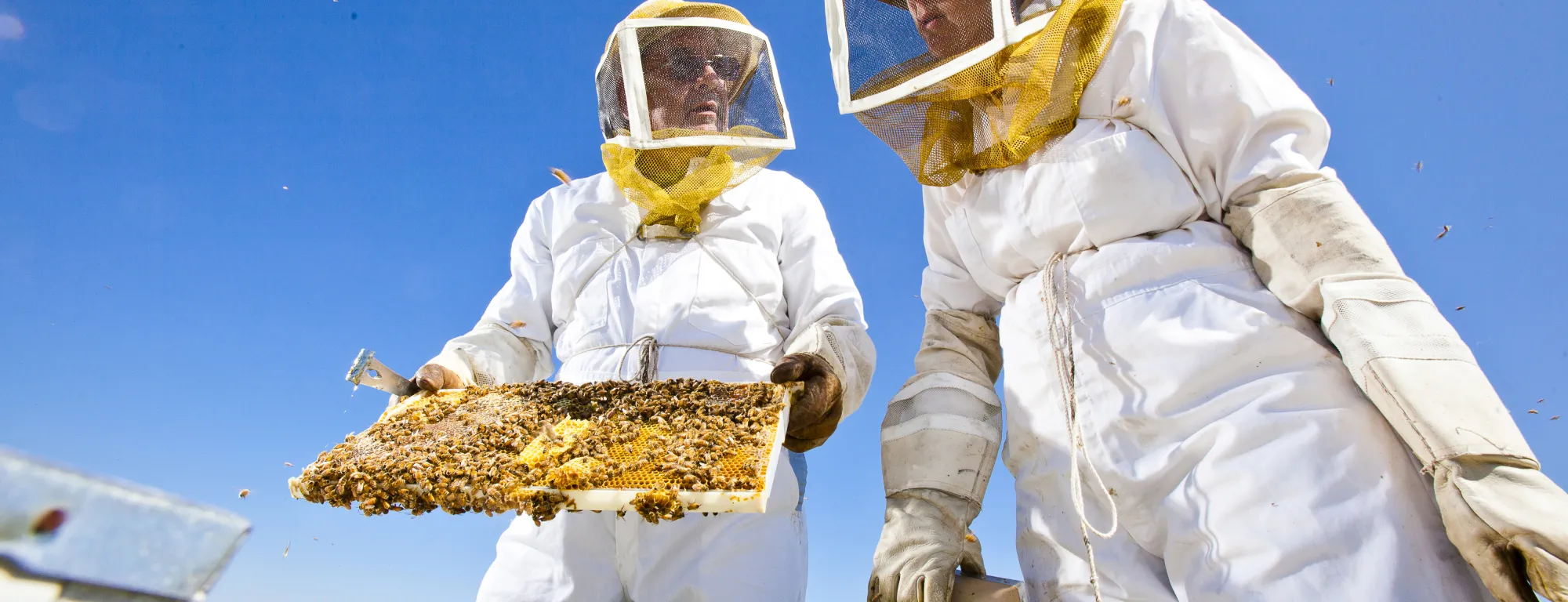 ucanr_careers_home